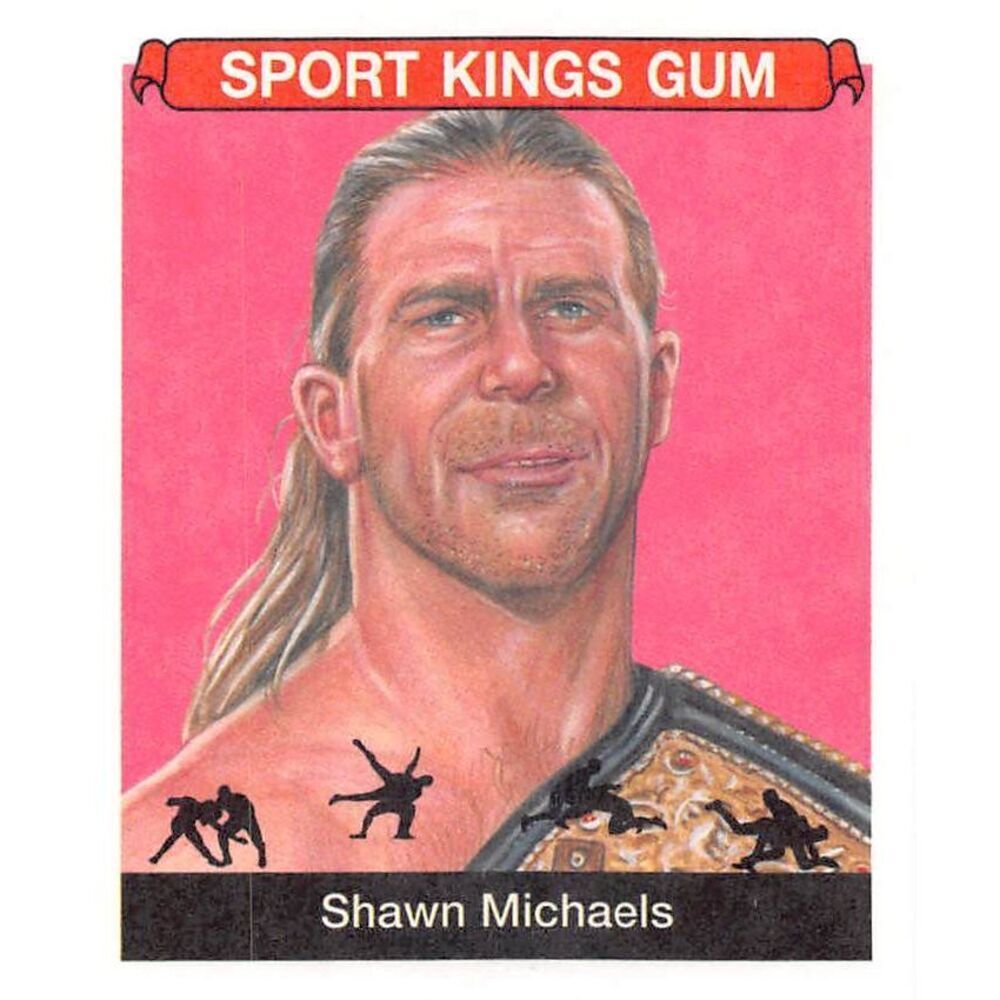 2018 Sportkings #25 Shawn Michaels Mini